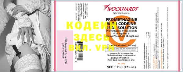 ГАЛЛЮЦИНОГЕННЫЕ ГРИБЫ Кодинск