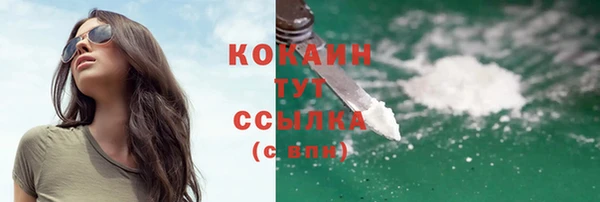 дживик Козельск