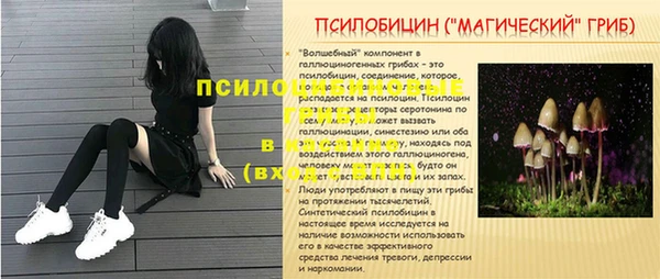 ГАЛЛЮЦИНОГЕННЫЕ ГРИБЫ Кодинск